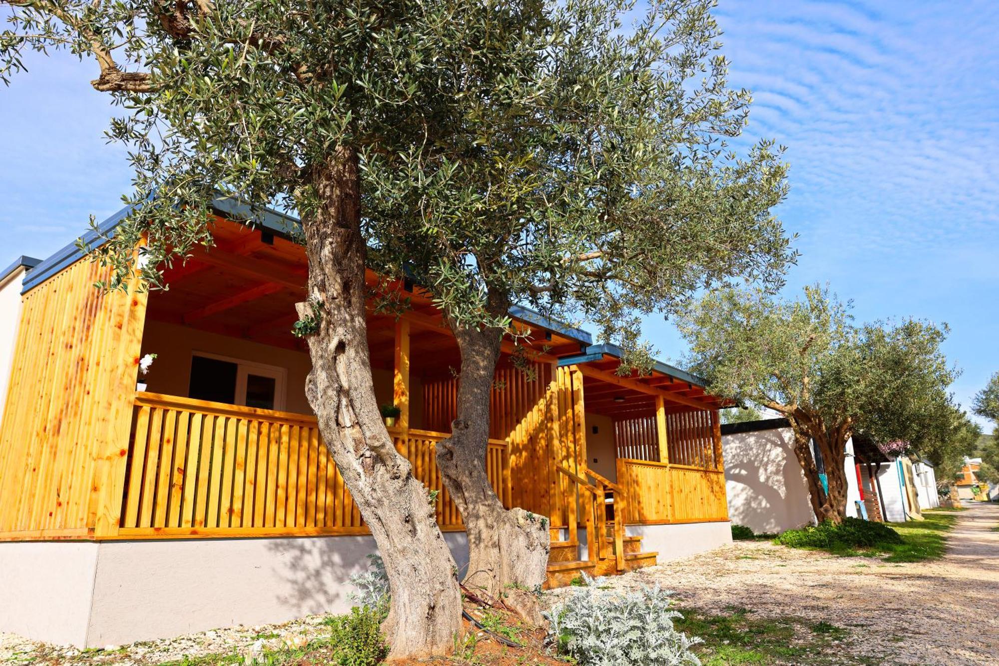 Appartement Camp Stella